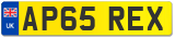 AP65 REX