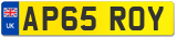 AP65 ROY