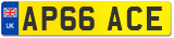 AP66 ACE