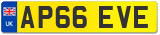 AP66 EVE