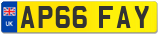 AP66 FAY