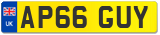 AP66 GUY