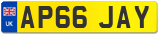 AP66 JAY