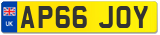 AP66 JOY