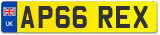 AP66 REX