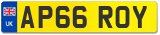 AP66 ROY