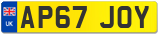 AP67 JOY