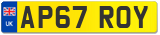 AP67 ROY