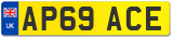 AP69 ACE