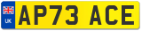 AP73 ACE