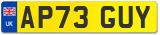 AP73 GUY