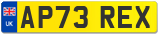 AP73 REX