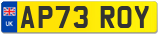 AP73 ROY