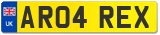 AR04 REX