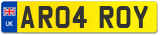 AR04 ROY