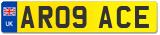 AR09 ACE