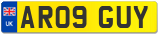 AR09 GUY