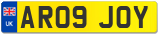 AR09 JOY