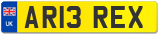 AR13 REX