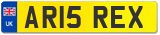 AR15 REX