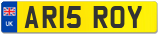 AR15 ROY