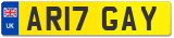 AR17 GAY