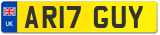 AR17 GUY