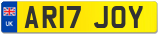 AR17 JOY
