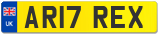 AR17 REX