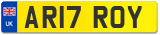 AR17 ROY
