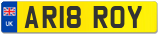 AR18 ROY