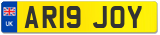 AR19 JOY
