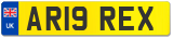 AR19 REX