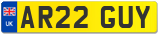 AR22 GUY