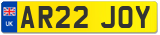 AR22 JOY