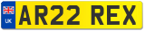 AR22 REX