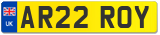 AR22 ROY