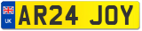 AR24 JOY