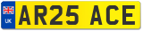 AR25 ACE