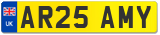 AR25 AMY