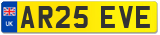 AR25 EVE