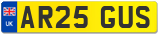 AR25 GUS
