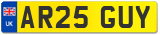 AR25 GUY