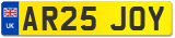 AR25 JOY
