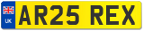 AR25 REX