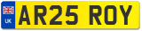 AR25 ROY