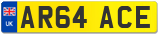 AR64 ACE