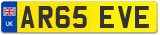 AR65 EVE