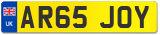 AR65 JOY