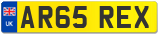 AR65 REX